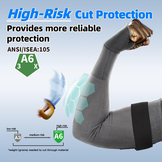 SCULLA ARIL ANSI A6 CHOUSI CHIUSI CONSIGLIO S903