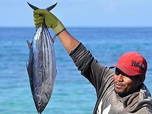 Person holding a fish with a clear blue sky and ocean background