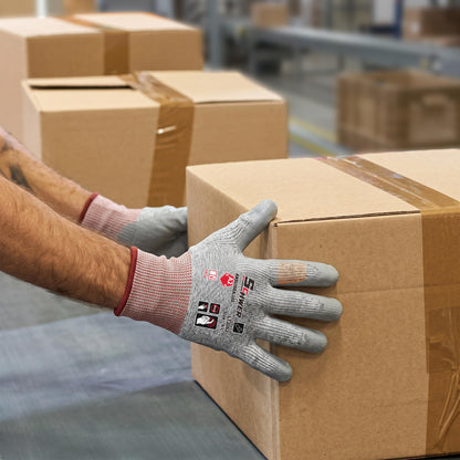 Schwer Cut Resistant Work Gloves | ANSI A2, Level 6 Abrasion, PU Grip, 12 Pairs, LT3062