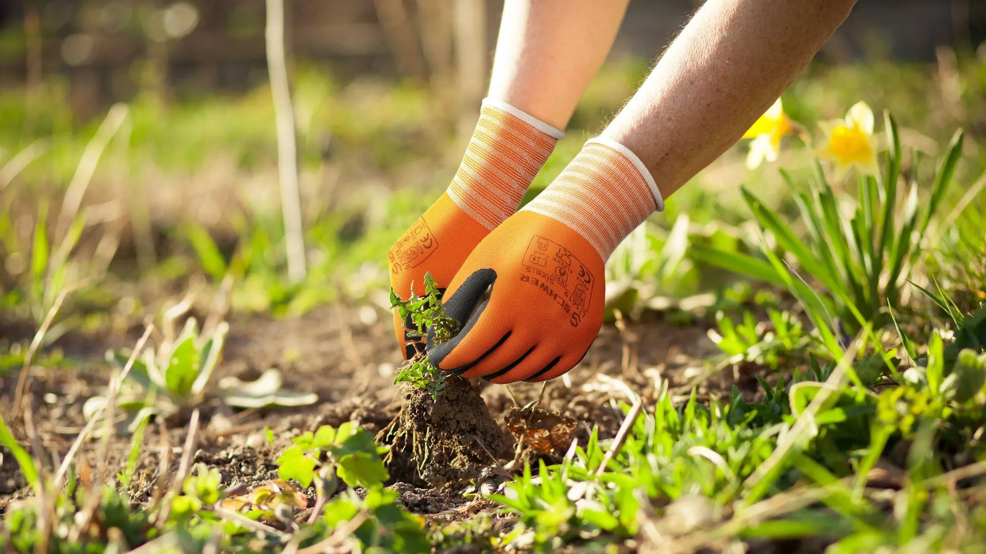 Person gardening with gloves on, focusing on planting or weeding.