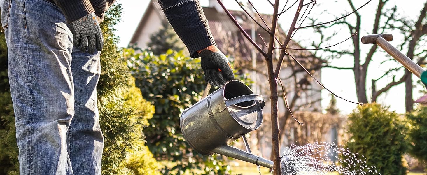 Person watering a tree with a metal watering can in a garden setting