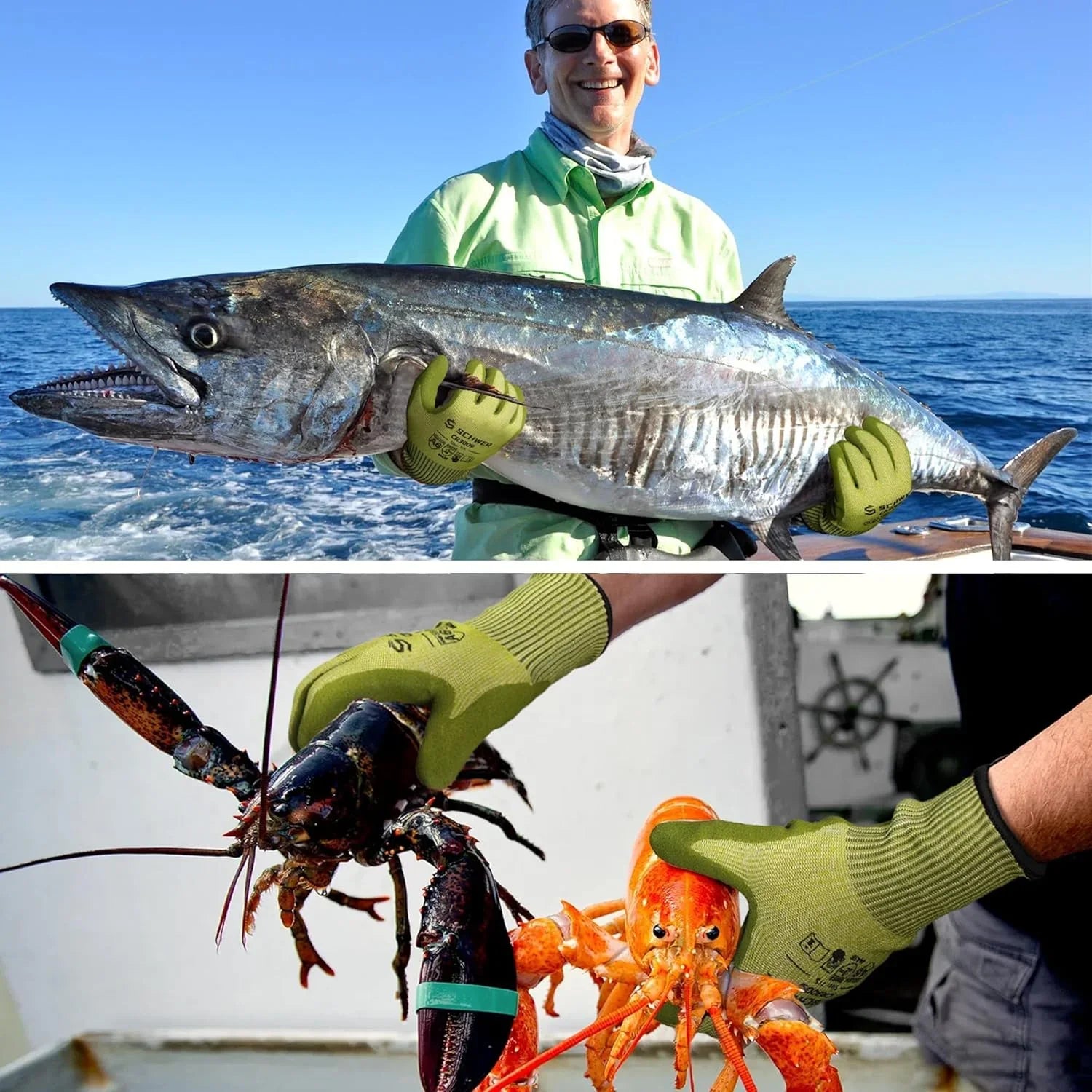 Fisherman wearing Schwergloves cut resistant gloves holding a large fish and lobsters on a boat at sea
