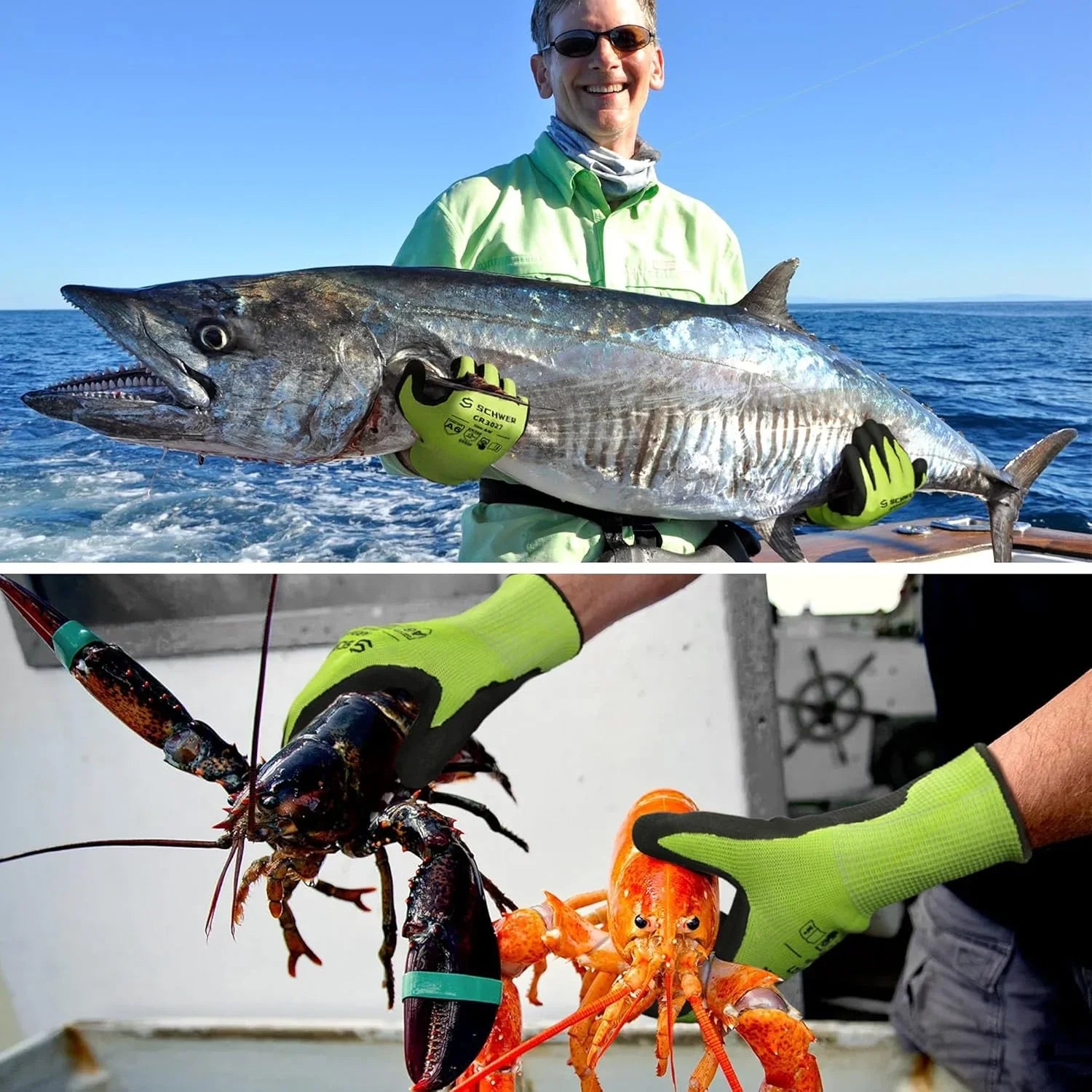 Man wearing Schwergloves cut resistant gloves holding large fish and lobster on a boat at sea