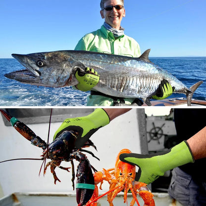 Man wearing Schwergloves cut resistant gloves holding large fish and lobster on a boat at sea