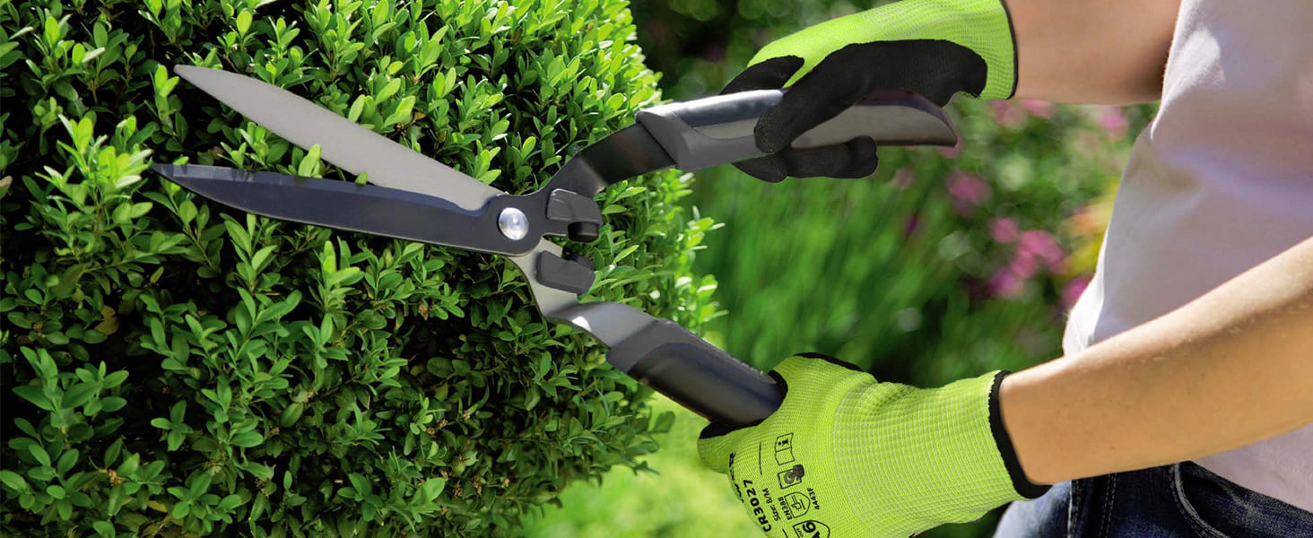 Person trimming a bush with garden shears and gloves in a garden setting