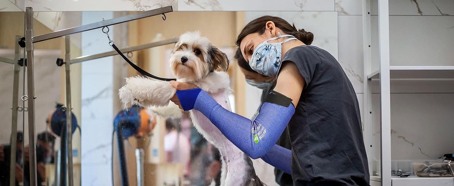 Person with a dog on a grooming table in a veterinary clinic.