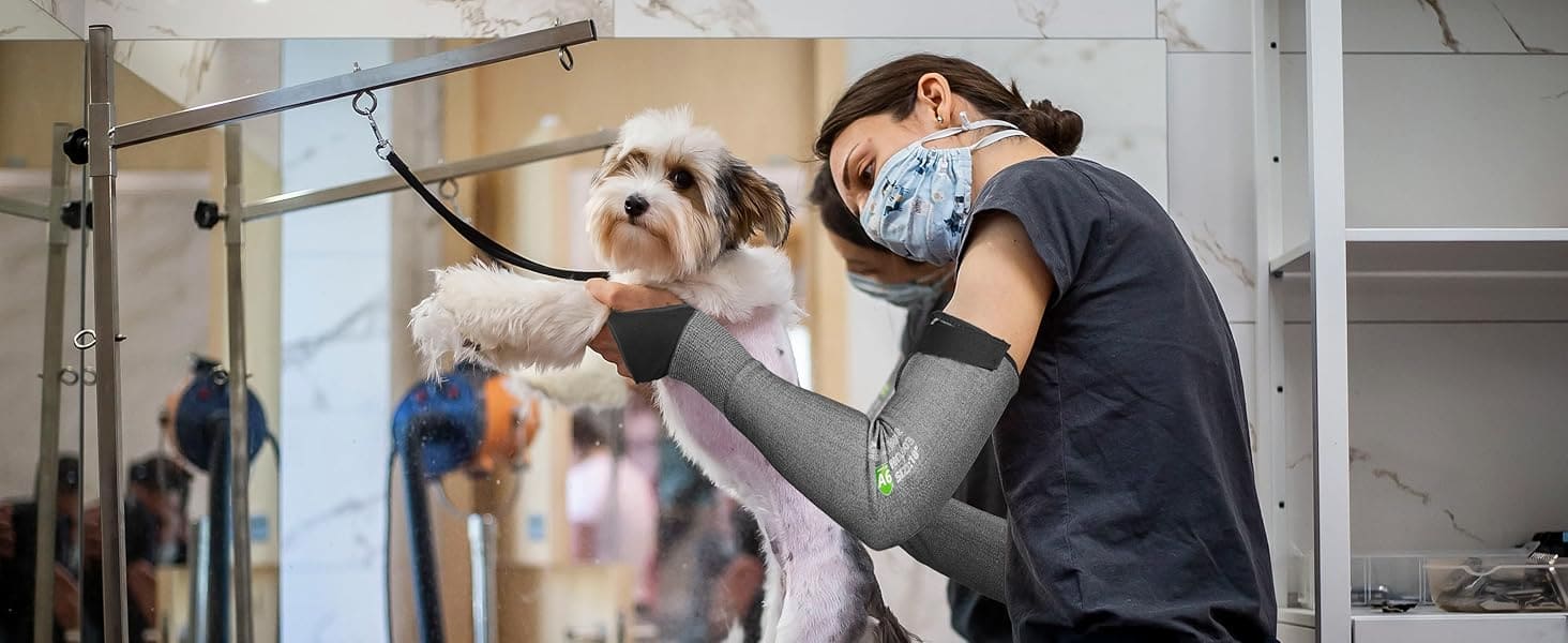 Person grooming a dog in a pet grooming salon