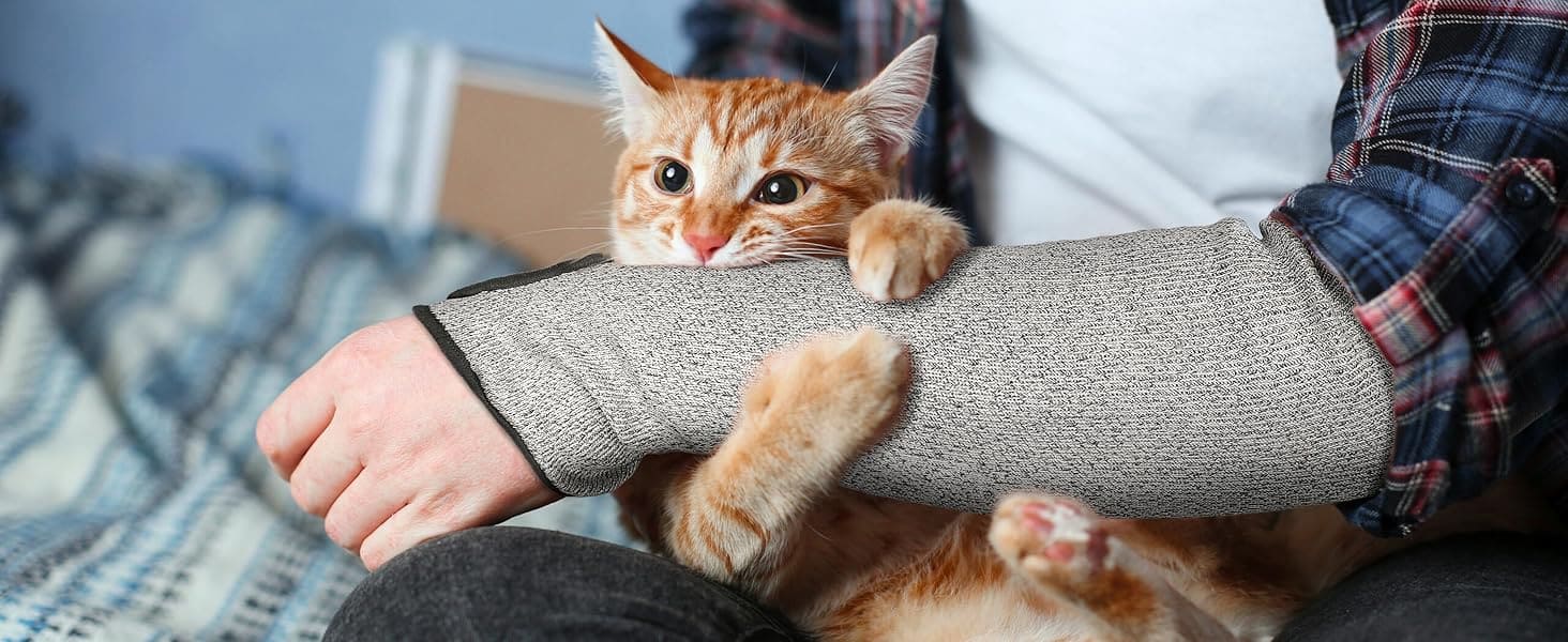 Cat lying on a person's arm with a blurred background