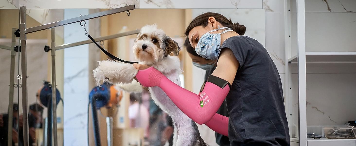 Person grooming a dog in a pet grooming salon