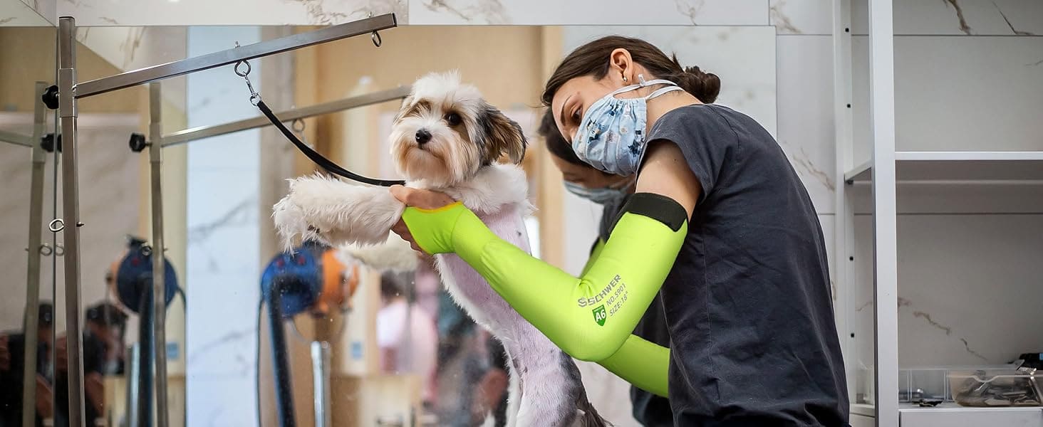 Person grooming a dog in a veterinary clinic setting