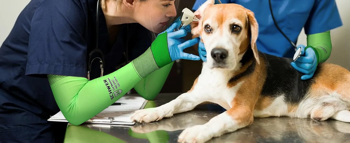 Dog being examined by a veterinarian with tools on a table