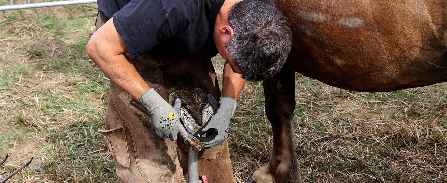 Person trimming a horse's hoof outdoors on grass