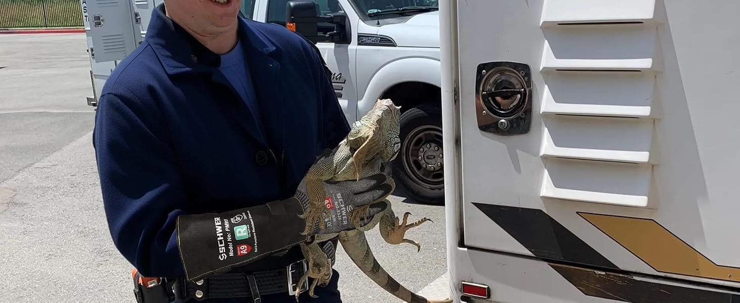 Person holding a large lizard next to a white vehicle
