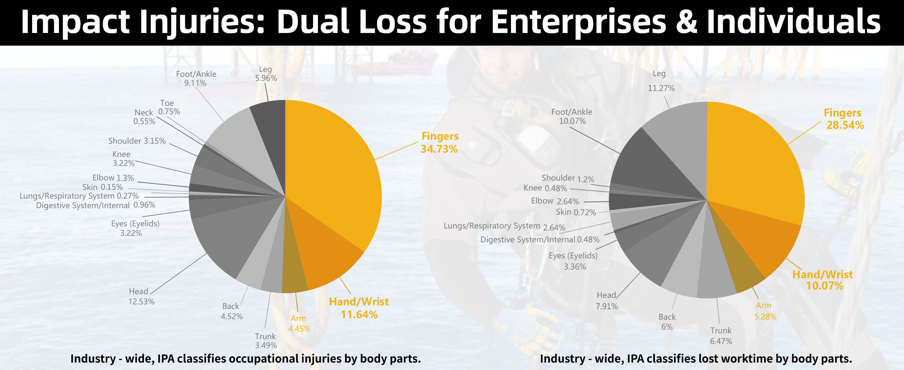 Chart showing impact injuries' dual loss for enterprises and individuals with pie charts and text.