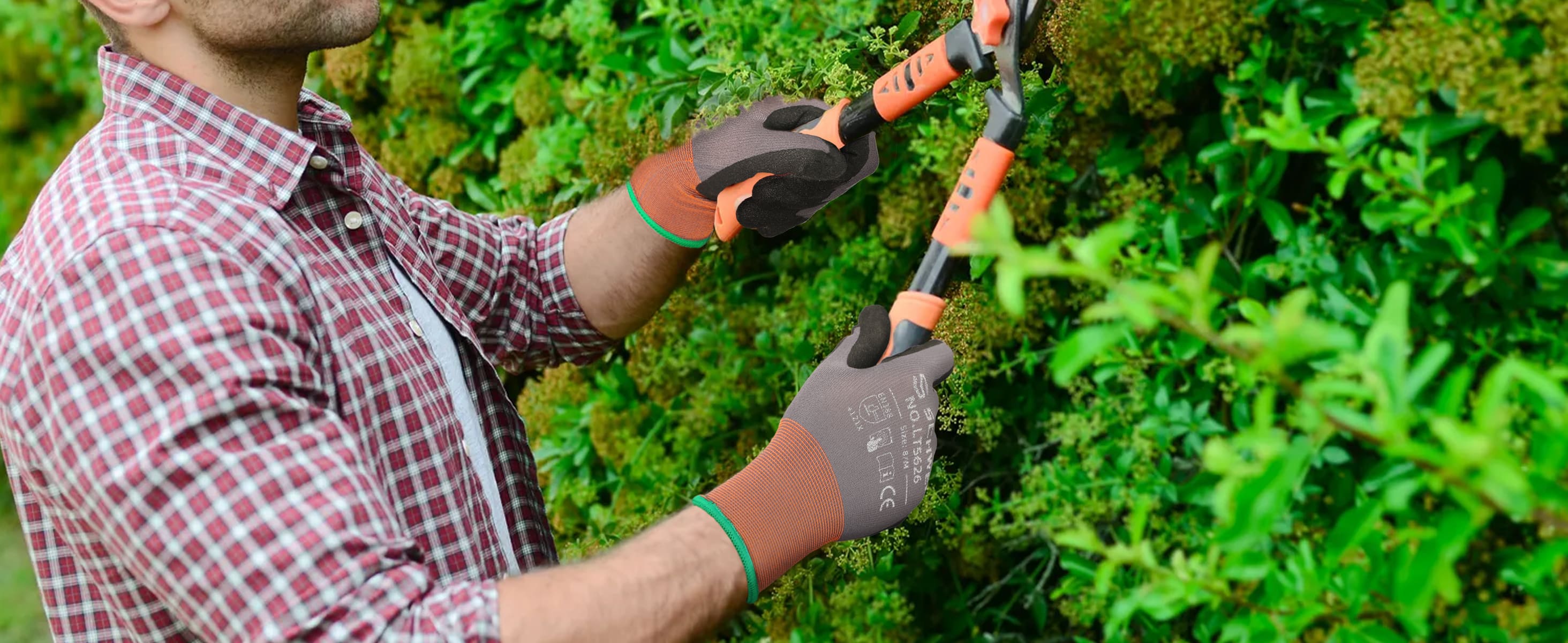 Person using hedge trimmers to trim a bush in a garden