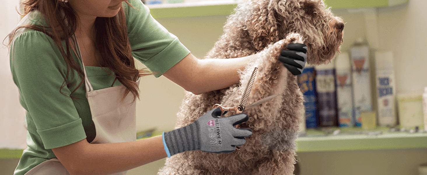 Person grooming a dog in a veterinary clinic setting